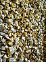 20260226_072158.jpg
