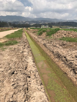 Canales Cultivos La Planicie