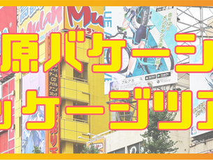 2024年10月より秋葉原バケーションパッケージツアー開催