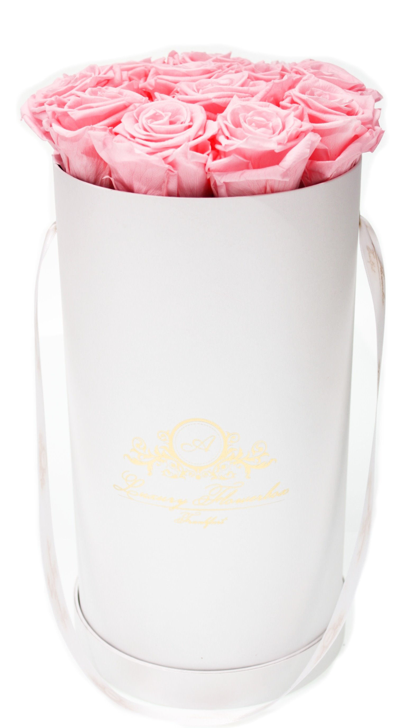 Glamor Flowerbox White M