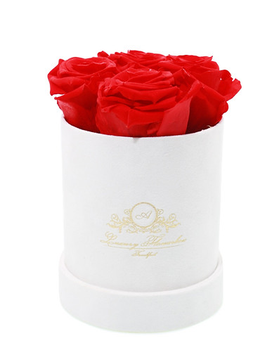 Velvet Flowerbox Light Red.jpg