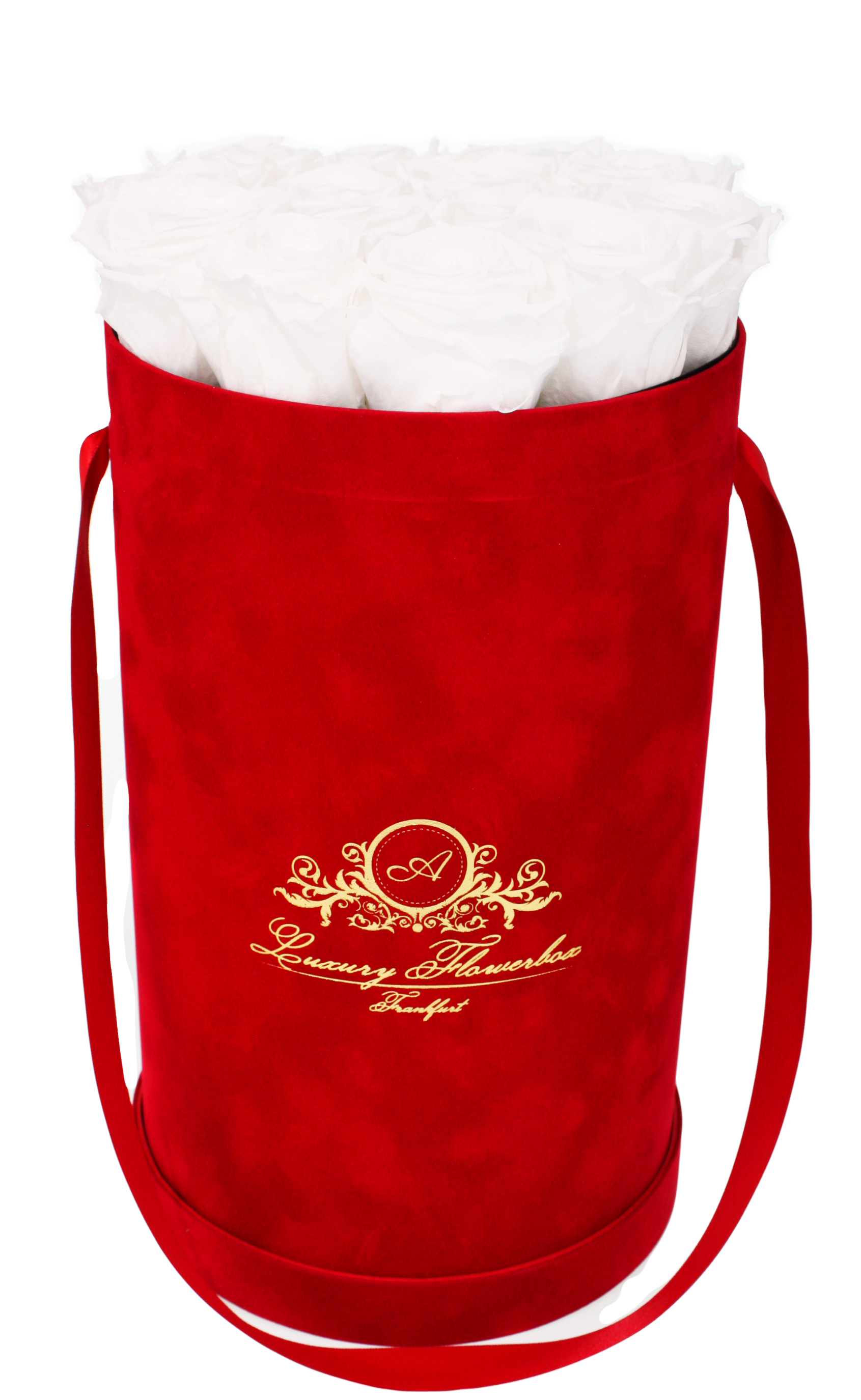 Glamour Flowerbox Red L