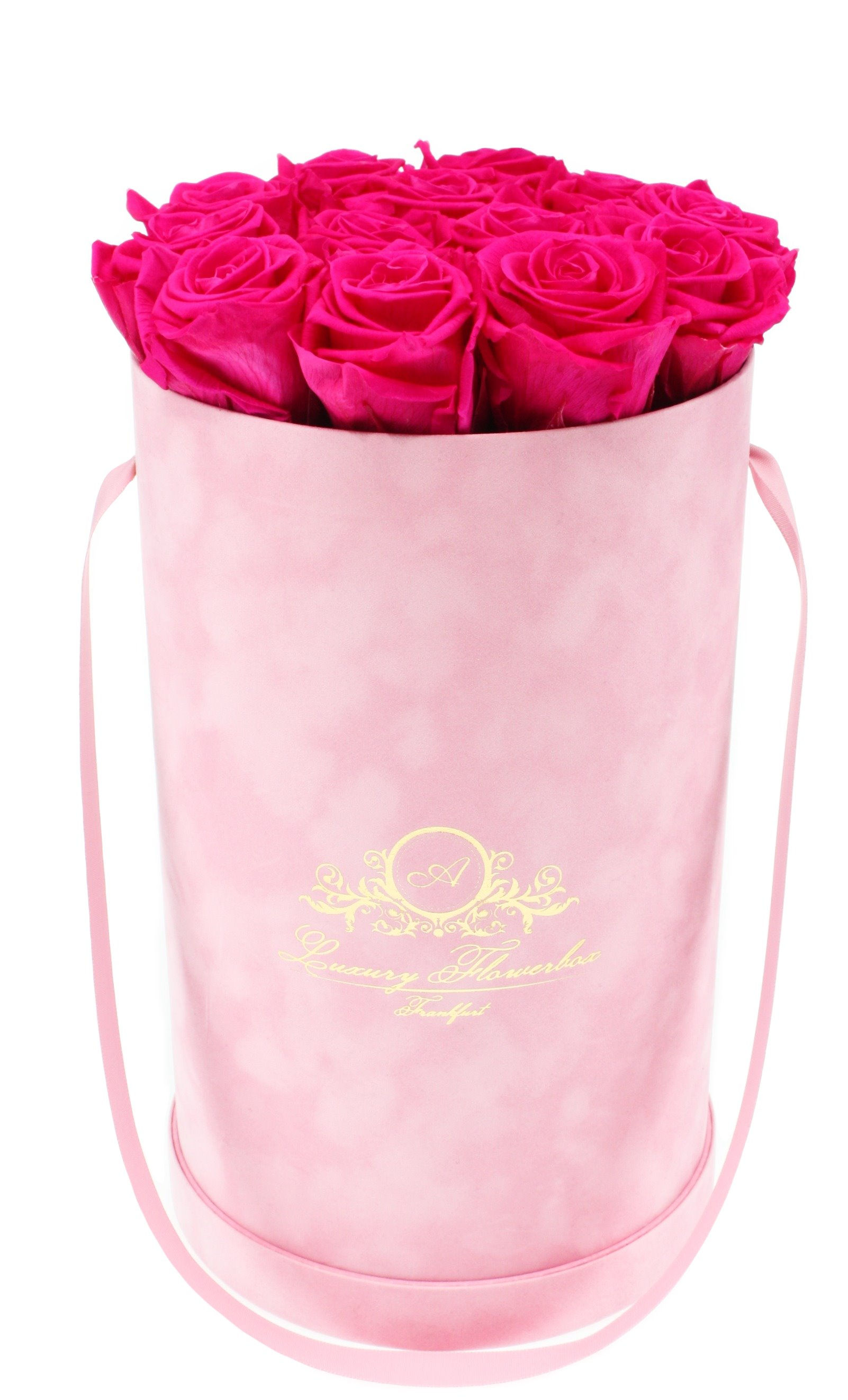 Glamour Velvet (Samt) Flowerbox Rosé L