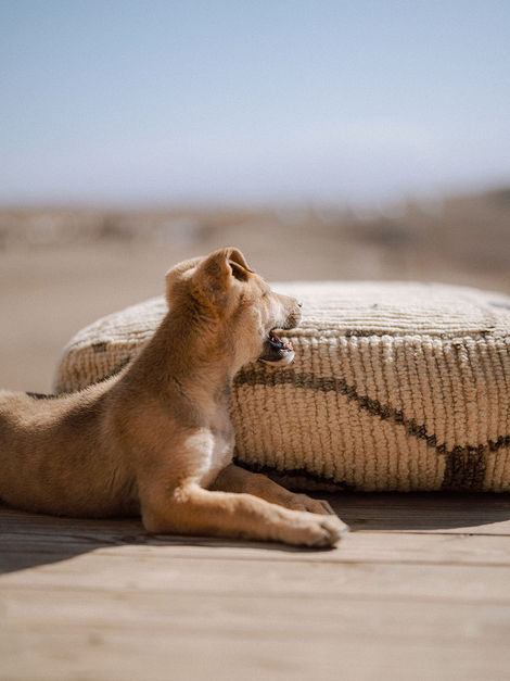 Marrakech-Alkamar-Camp-66