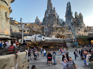 Top 25 Walt Disney World Attractions