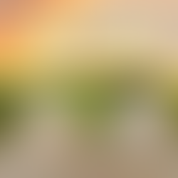 Buchungsservice Qual der Wahl