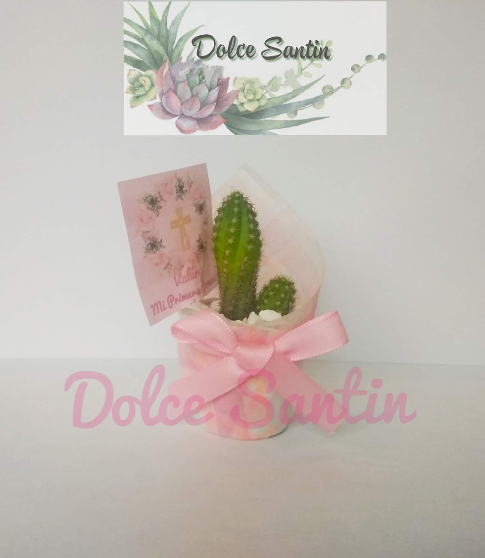 Miniatura: Maceta mini con suculentas. Diseños personalizados