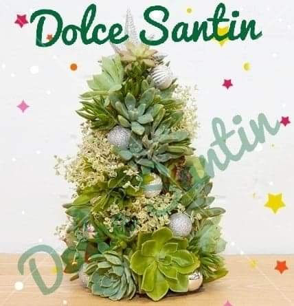 Miniatura: Para ti y tus seres queridos, una suculenta navidad!!!