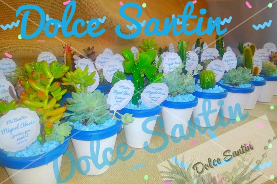 Miniatura: Macetas personalizadas con variedad de suculentas