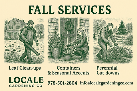 Leaf Clean-ups Containers & Fall Accents Perennial Cut-downs