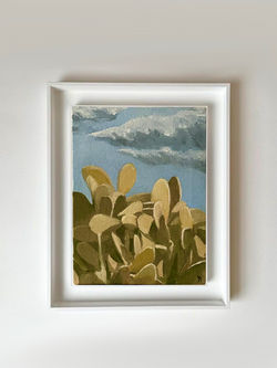 Holly Cactus