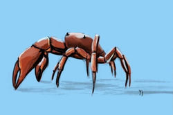 Bored crab