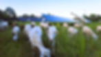 _Thompson_Foodshed Capital Standard Application_20250305_Photos and Storytelling _2.jpg