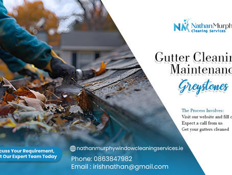 Considering Gutter Cleaning and Maintenance Is a Good Idea