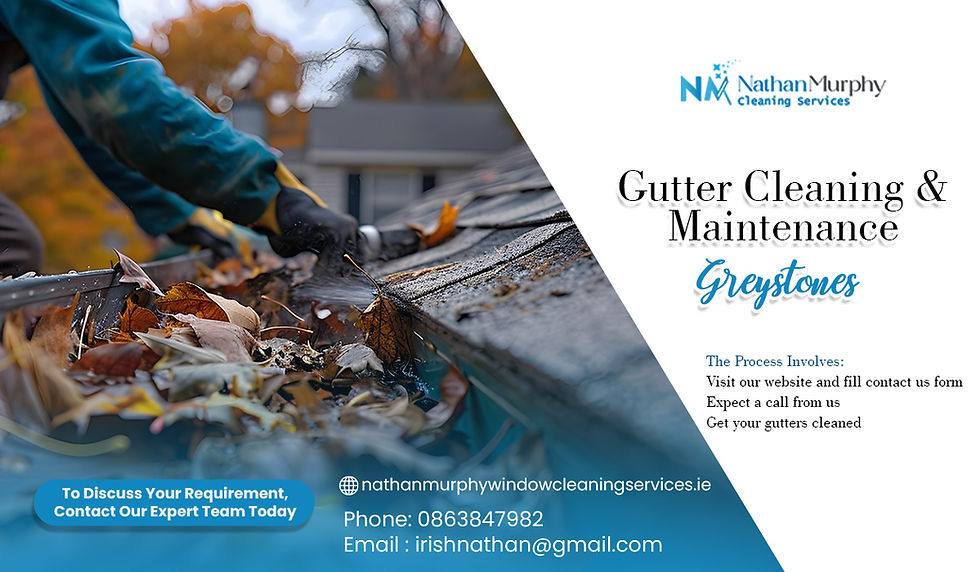 Gutter cleaning and maintenance Greystones