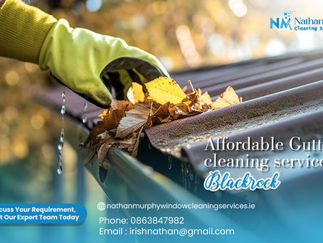 Affordable Gutter Cleaning Service: Basic Steps And Helpful Tips To Clean This Area