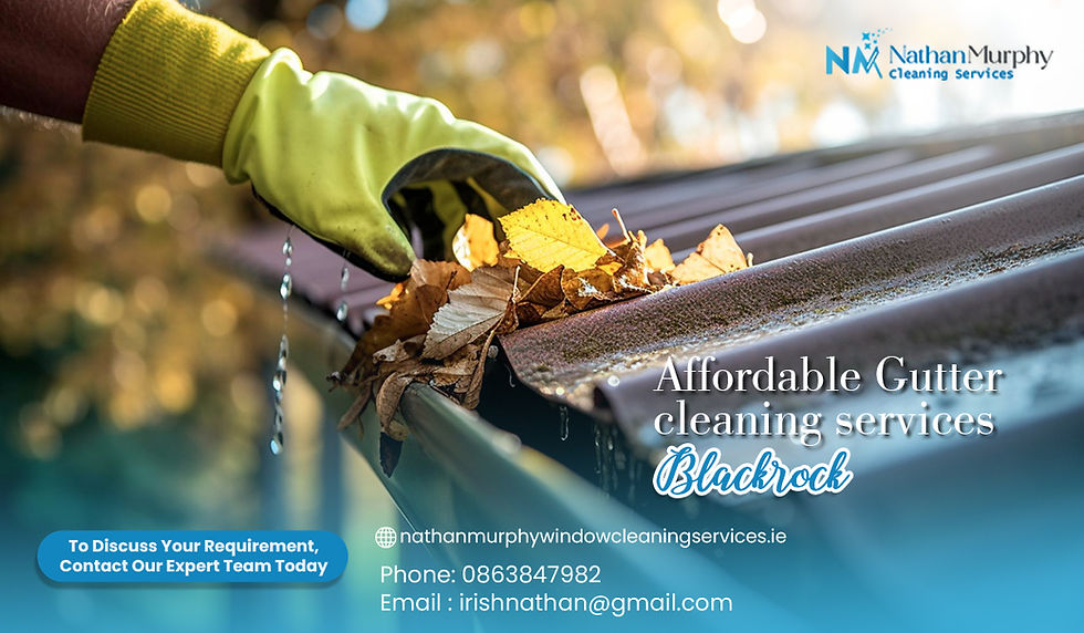 Affordable gutter cleaning services Blackrock