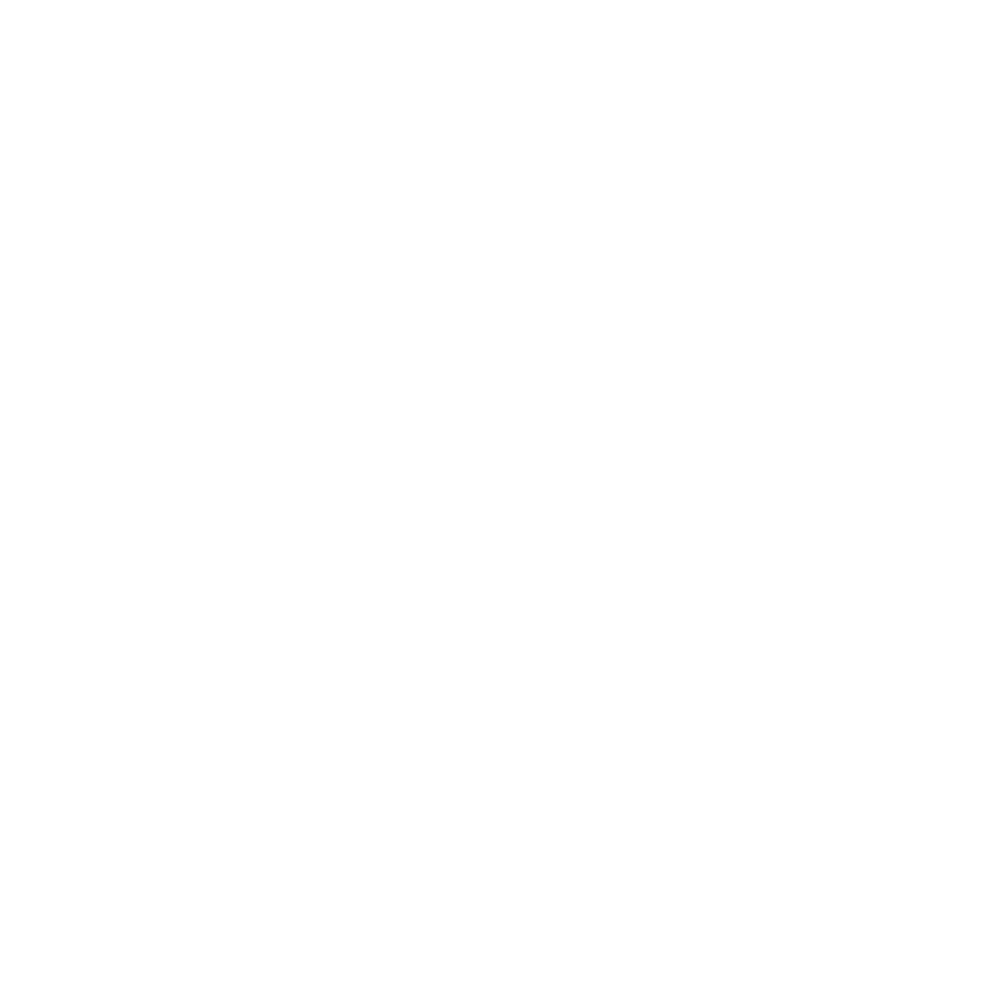 LOGGA ZYRÉN COLOR.png