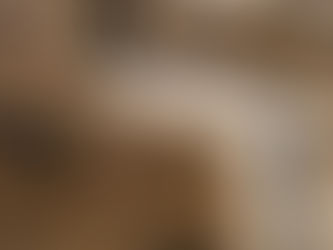 Amazon reports record quarterly profit