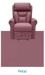 Thumbnail: Dallux Healthcare Rise & Recline Chair