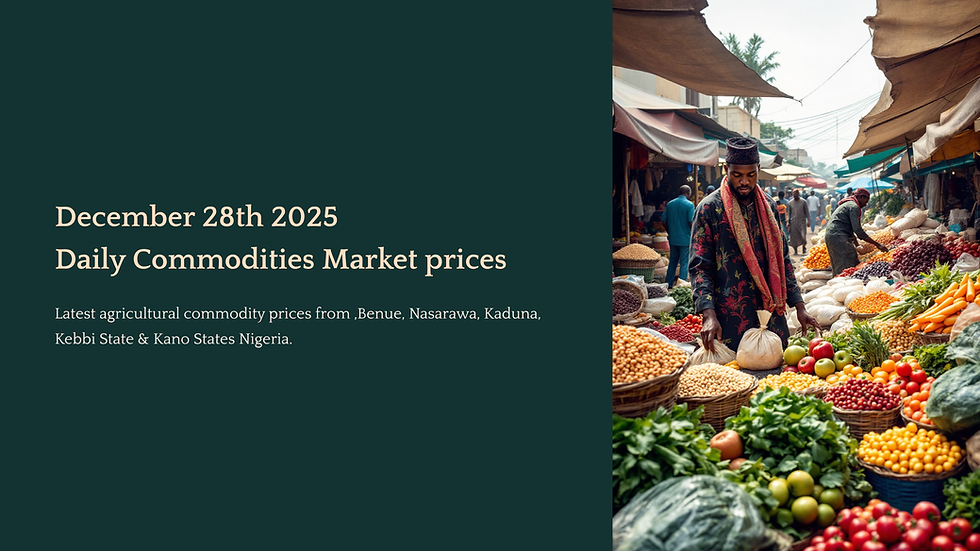 December 28th 2025                   Daily Commodities Market prices