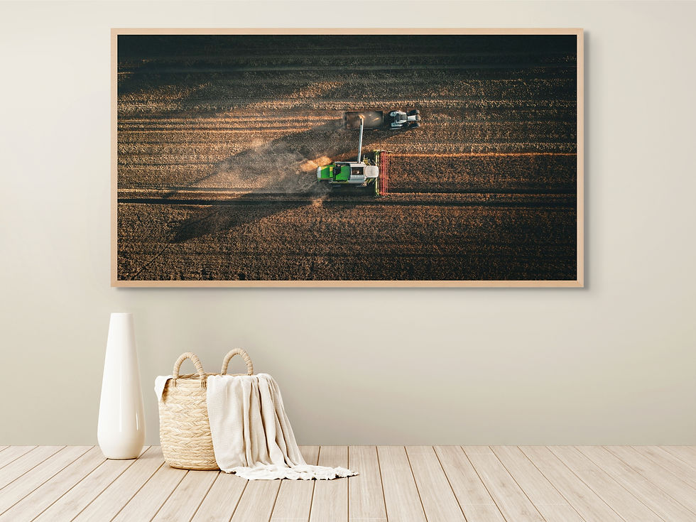 Thumbnail: combine harvester fine art print