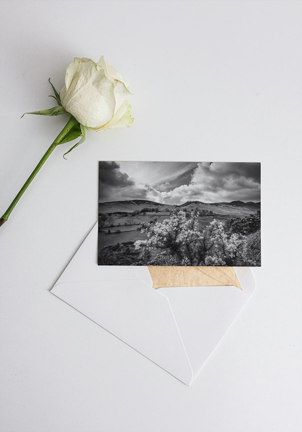 Thumbnail: Coledale Valley Birthday Card - Lake District Greetings Card