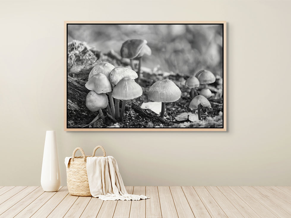 Thumbnail: Wild Mushrooms Wall Print - Lake District Gifts - Lake District Wall Art