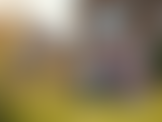 Unlocking Homeownership: Your Mortgage Journey Begins Here