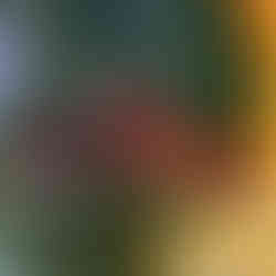 adidas Mens adidas Trae Young 1 - Mens Basketball Shoes Black/Red/Yellow Size 13.0