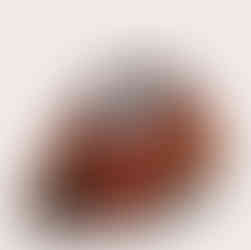 FIND THE FOLLOWING & MORE @CULT GAIA