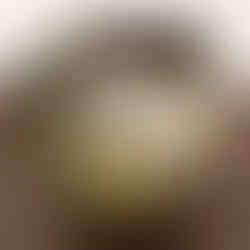 Chardonnay & Gourmet Gift Box