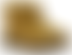 SHOP FOOTWEAR COLLECTION