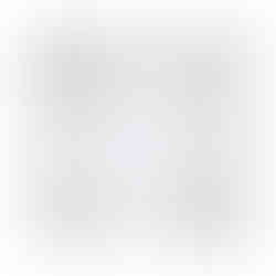 Egyptian Gazelle Embroidered Cocktail Napkins