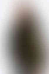 Womens High Shine Oversized Sleeve Puffer