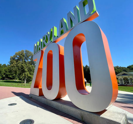 Baltimore Cultural Institutions Offer Incentives for Sustainability on World Environment Day