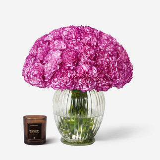 Raspberry Ripple Carnation