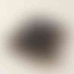 KAPITAL Fringed Leather-Trimmed Suede Sandals