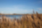 7H6A6997.jpg