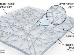Silver nanowire network forming a transparent flexible conductive film