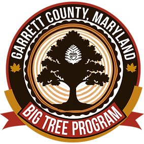 Garrett Big Tree Logo.png