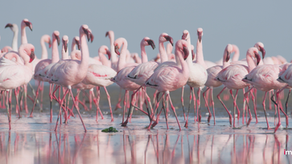 iMG. marketing community is now free to join if you're an amazing freelancer.