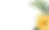 bg-message.png