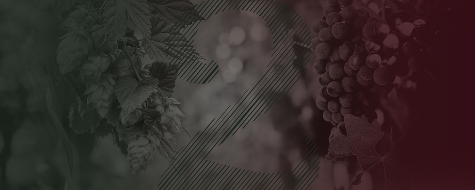 HEADER_ACHTERGROND.png
