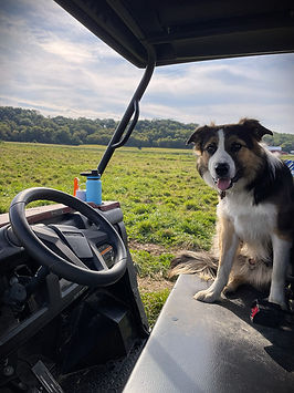 IMG_1282.jpeg