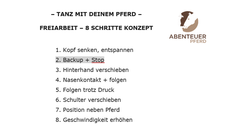 8 Schritte Konzept