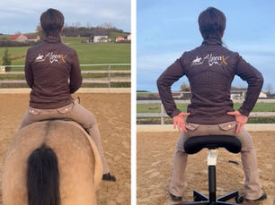 Besser sitzen & reiten: Mein Bergardi-Sattelstuhl-Test