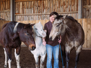 Pferde als Co-Coaches