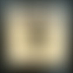 Unforgettable Adventures: My First Time in Tokyo 