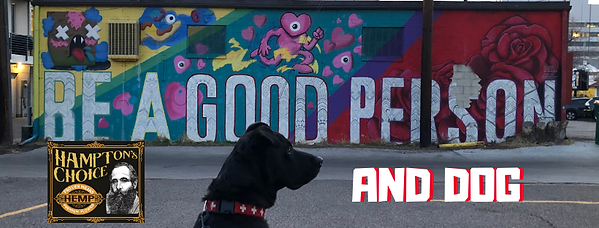 Life DOg Adventure (1).png